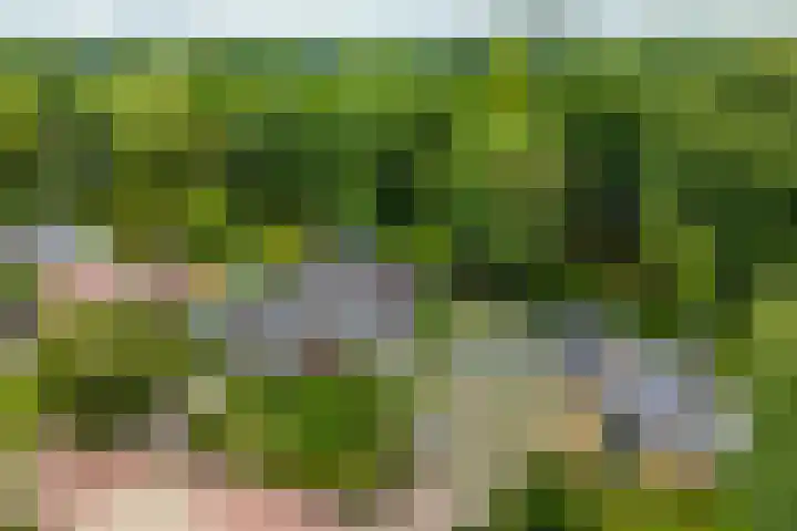 Veemstede 103 Oude Pekela thumbnail 4
