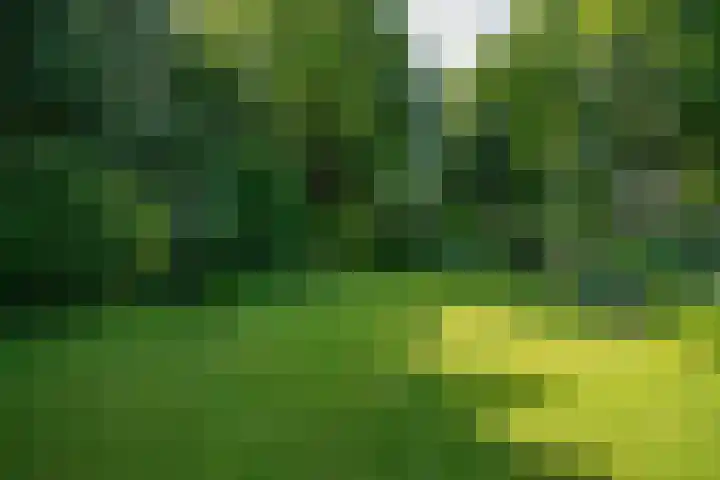 Veemstede 103 Oude Pekela thumbnail 43