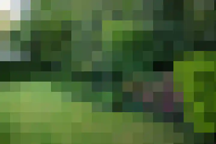 Veemstede 103 Oude Pekela thumbnail 44