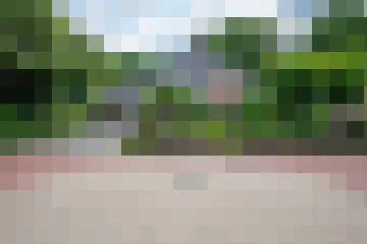 Veemstede 103 Oude Pekela thumbnail 48