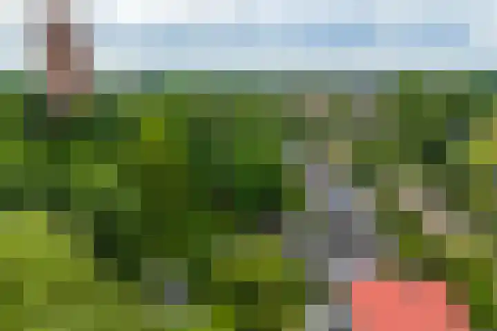 Veemstede 103 Oude Pekela thumbnail 51