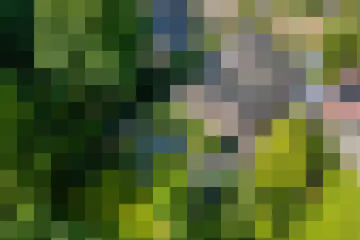 Veemstede 103 Oude Pekela thumbnail 53