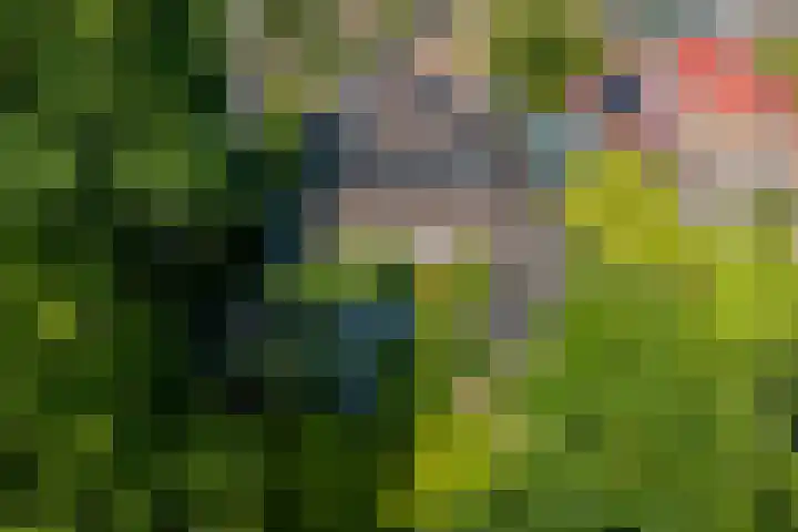 Veemstede 103 Oude Pekela thumbnail 54