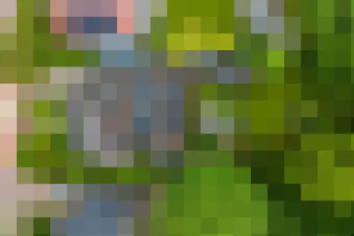 Veemstede 103 Oude Pekela thumbnail 55