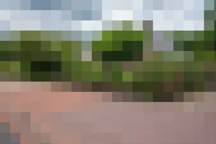 Veemstede 103 Oude Pekela thumbnail 6