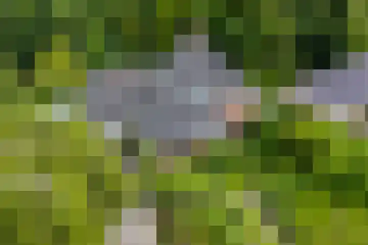 Veemstede 103 Oude Pekela thumbnail 7