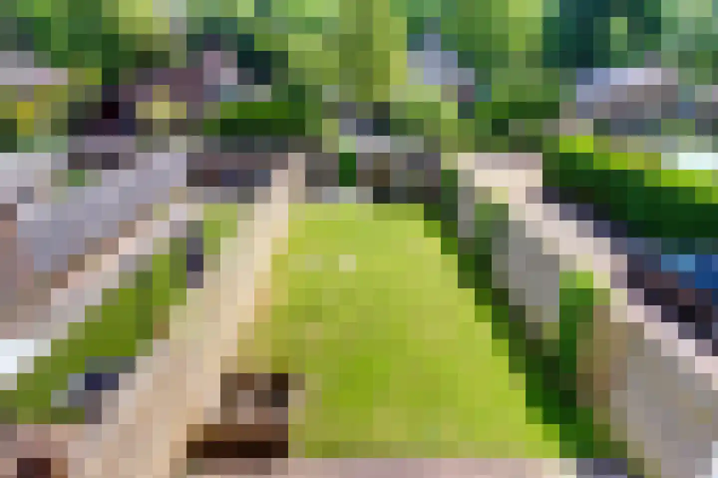 Veemstede 110 Oude Pekela thumbnail 8