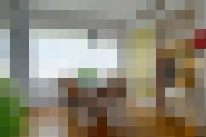 Veemstede 15 Oude Pekela thumbnail 12