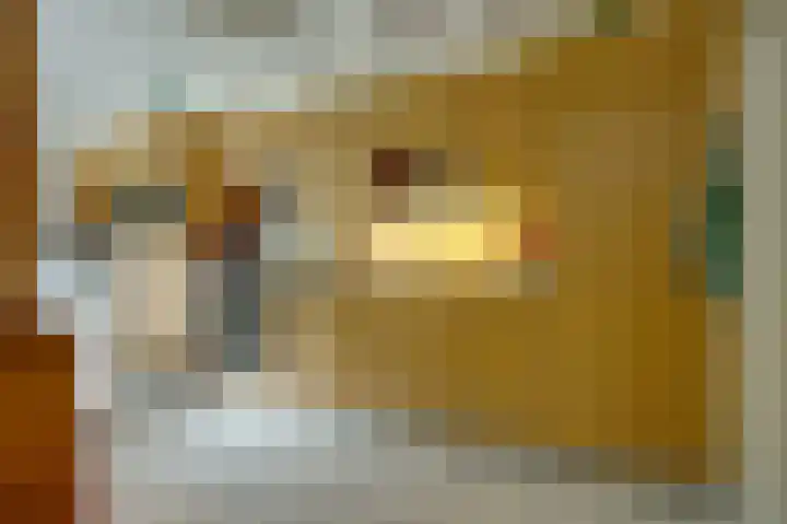 Veemstede 15 Oude Pekela thumbnail 13