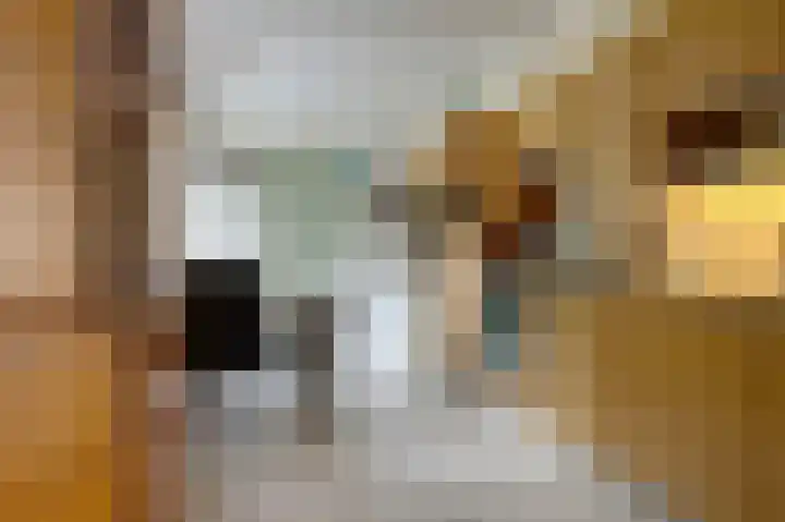 Veemstede 15 Oude Pekela thumbnail 14