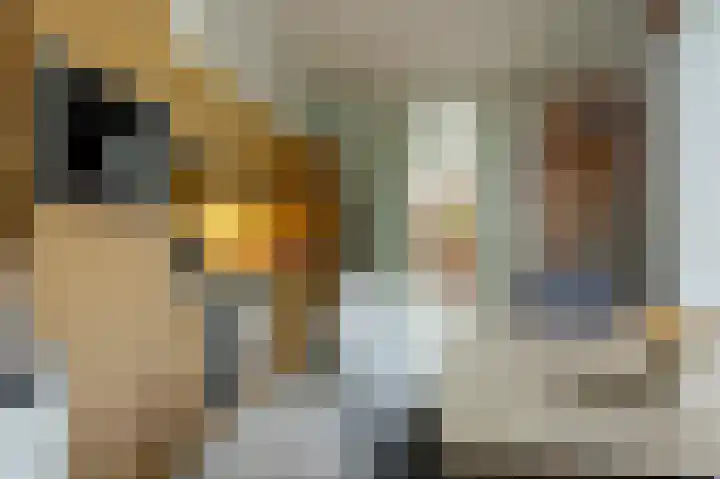 Veemstede 15 Oude Pekela thumbnail 15