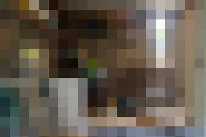 Veemstede 15 Oude Pekela thumbnail 17