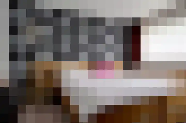 Veemstede 15 Oude Pekela thumbnail 19