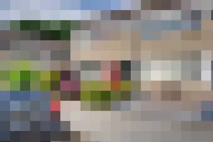Veemstede 15 Oude Pekela thumbnail 29