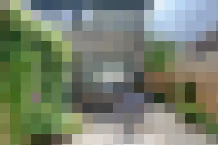 Veemstede 15 Oude Pekela thumbnail 32