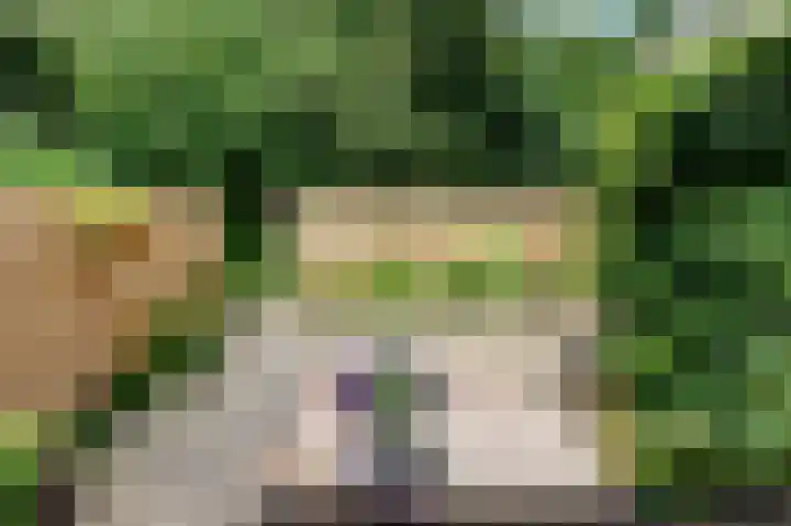 Veemstede 15 Oude Pekela thumbnail 33