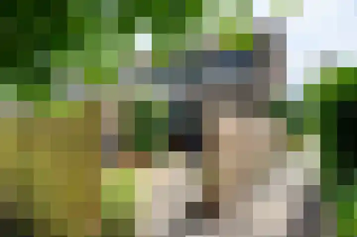 Veemstede 15 Oude Pekela thumbnail 4