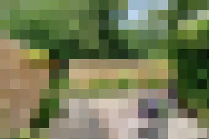 Veemstede 15 Oude Pekela thumbnail 6