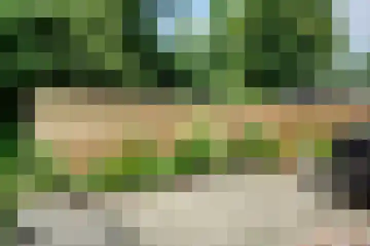 Veemstede 15 Oude Pekela thumbnail 7