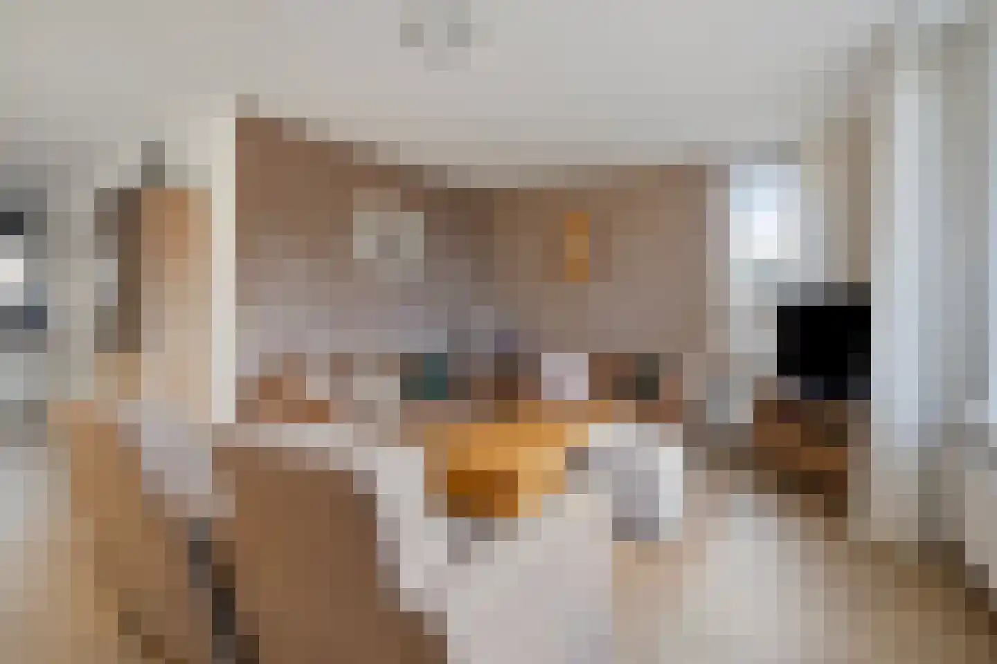 Veemstede 59 Oude Pekela thumbnail 11