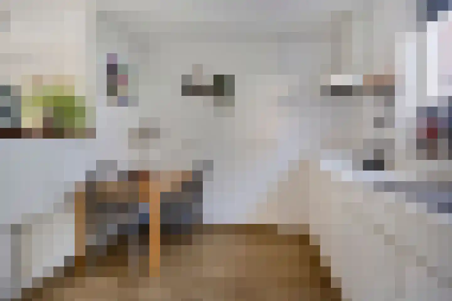 Veemstede 59 Oude Pekela thumbnail 17