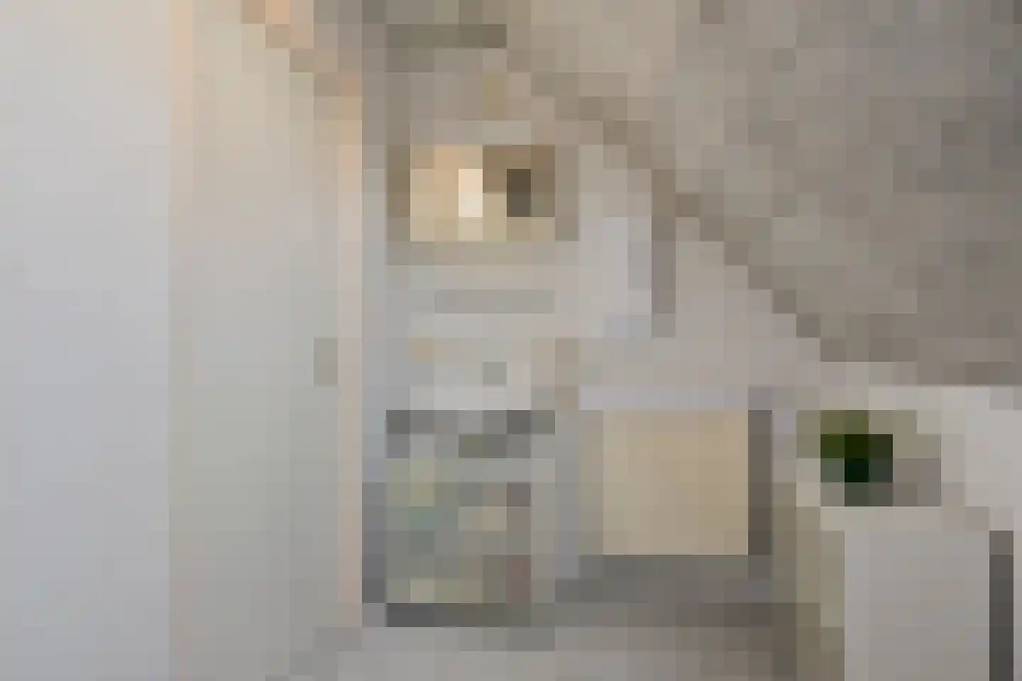 Veemstede 59 Oude Pekela thumbnail 24