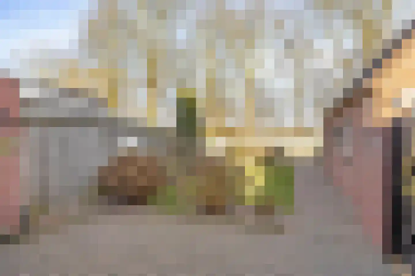 Veemstede 59 Oude Pekela thumbnail 27