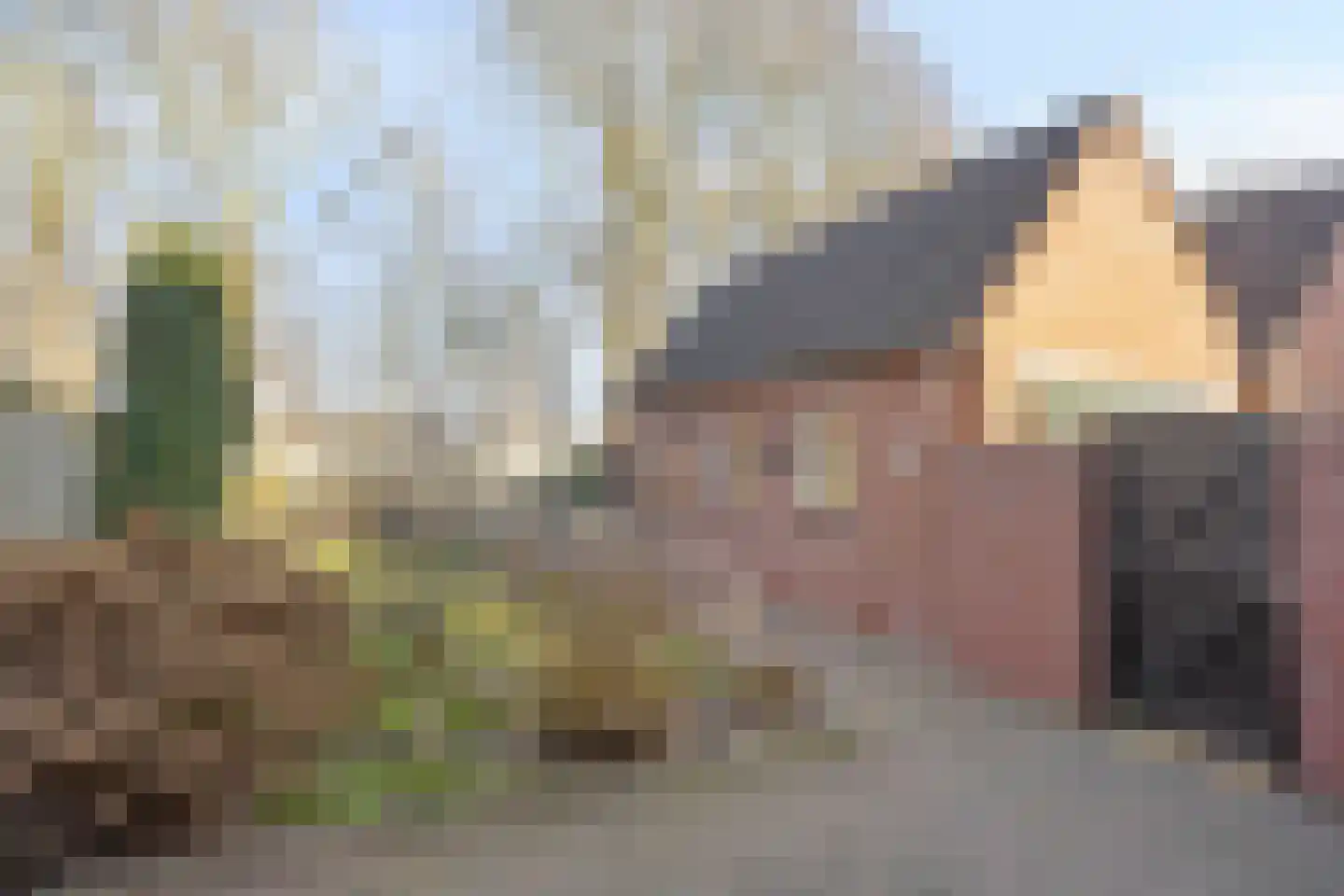 Veemstede 59 Oude Pekela thumbnail 28