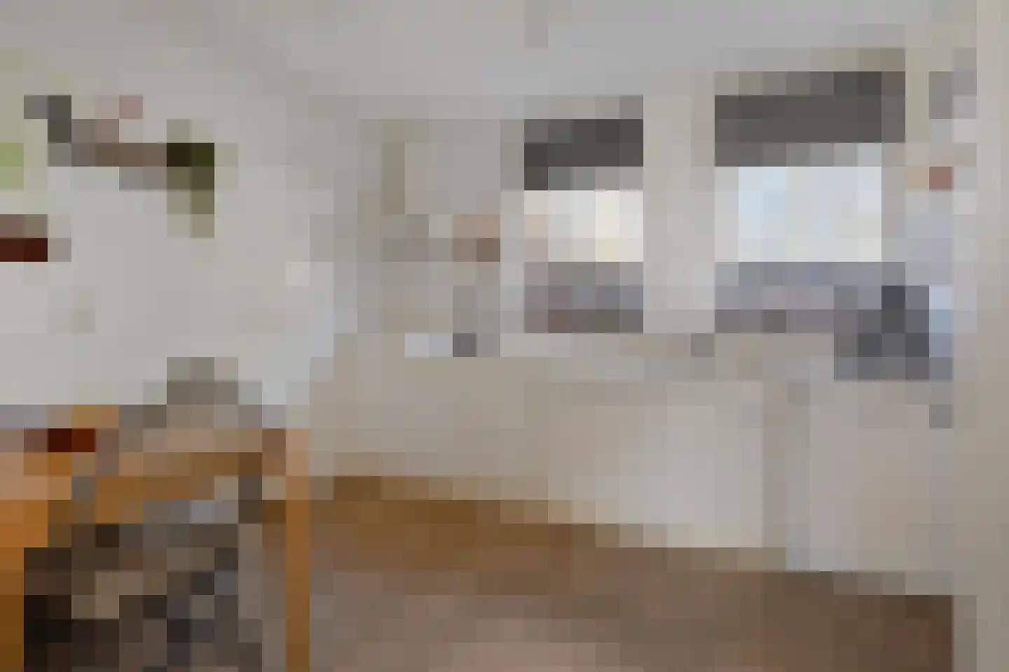 Veemstede 59 Oude Pekela thumbnail 4