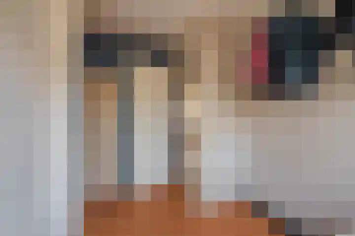 Veemstede 68 Oude Pekela thumbnail 19
