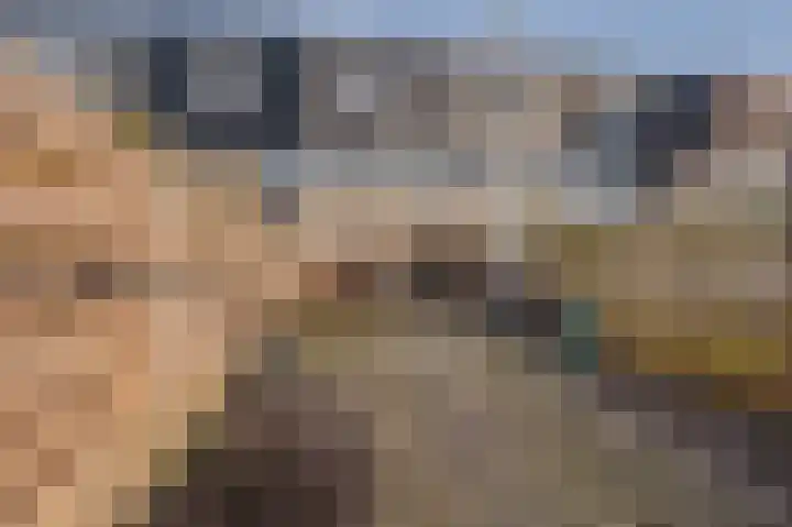 Veemstede 68 Oude Pekela thumbnail 33