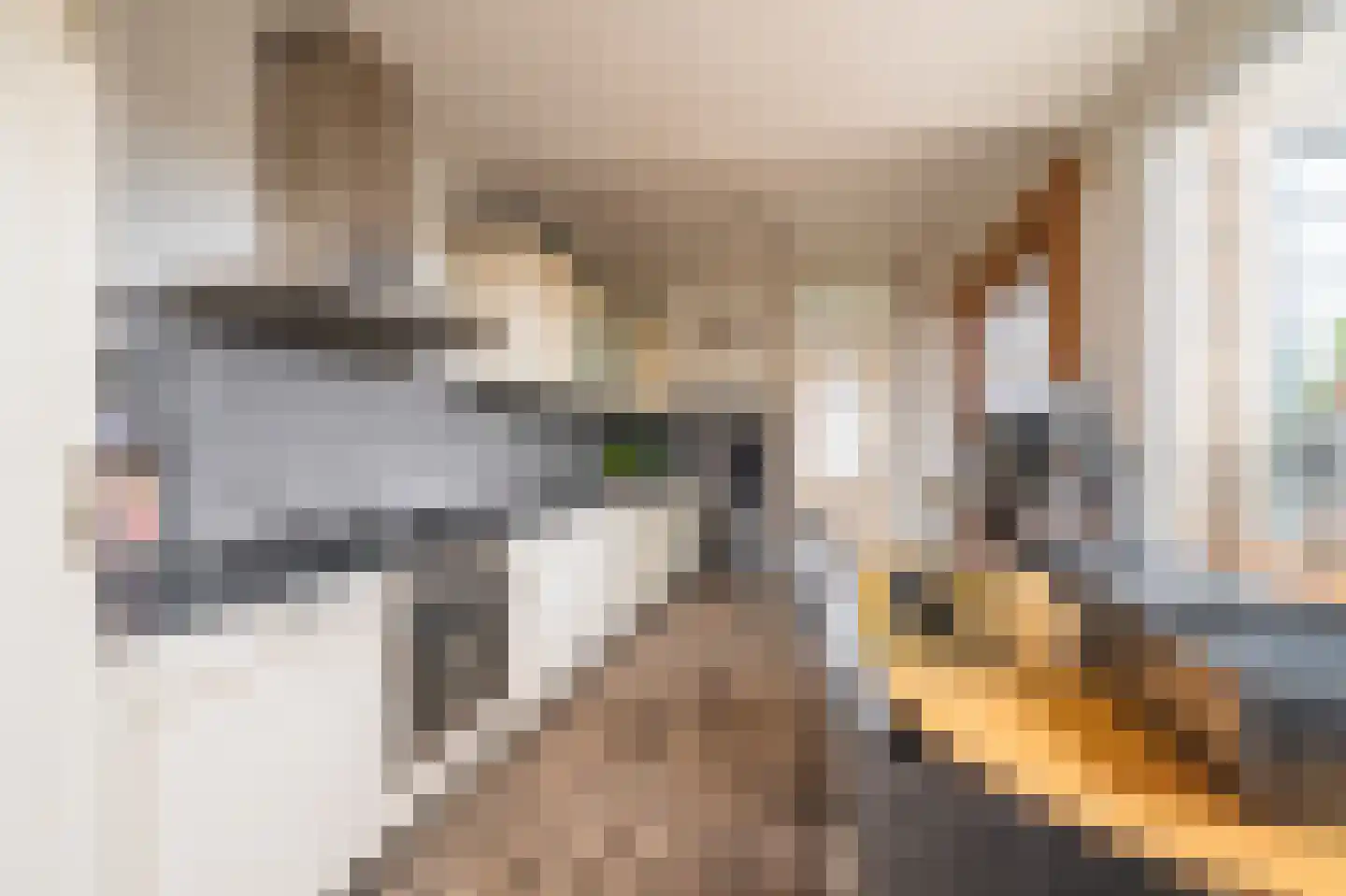 Veemstede 7 Oude Pekela thumbnail 22
