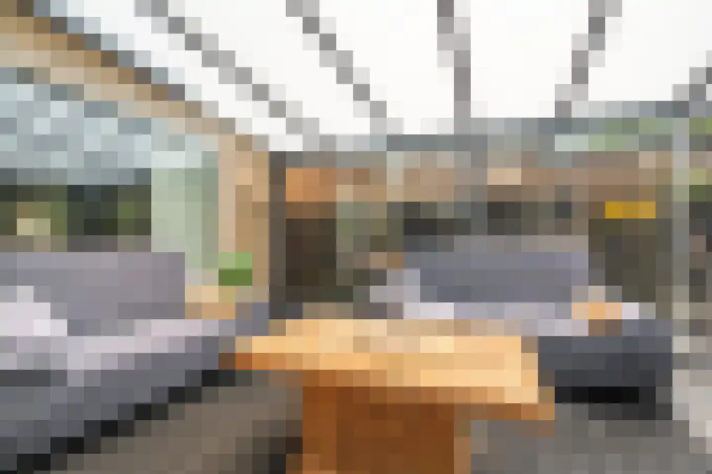 Veemstede 7 Oude Pekela thumbnail 24