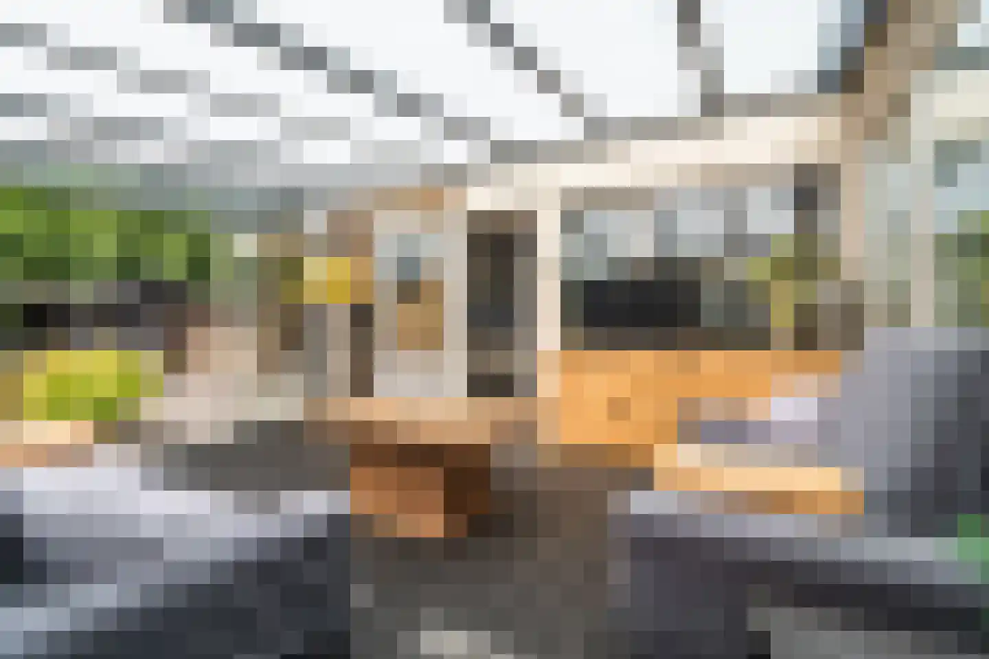 Veemstede 7 Oude Pekela thumbnail 26