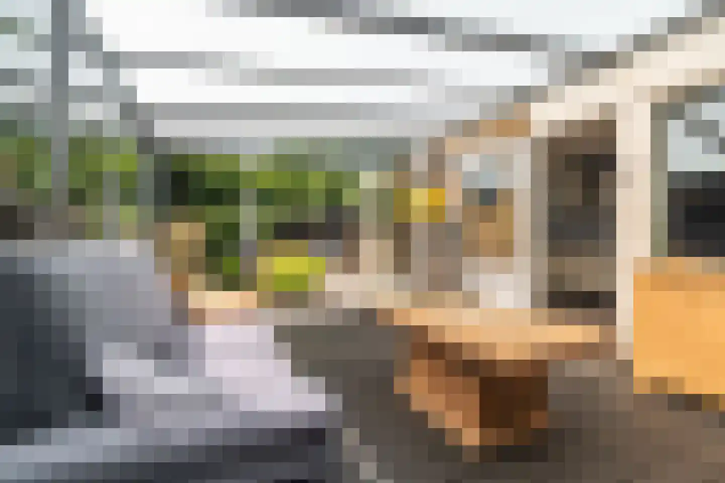Veemstede 7 Oude Pekela thumbnail 27