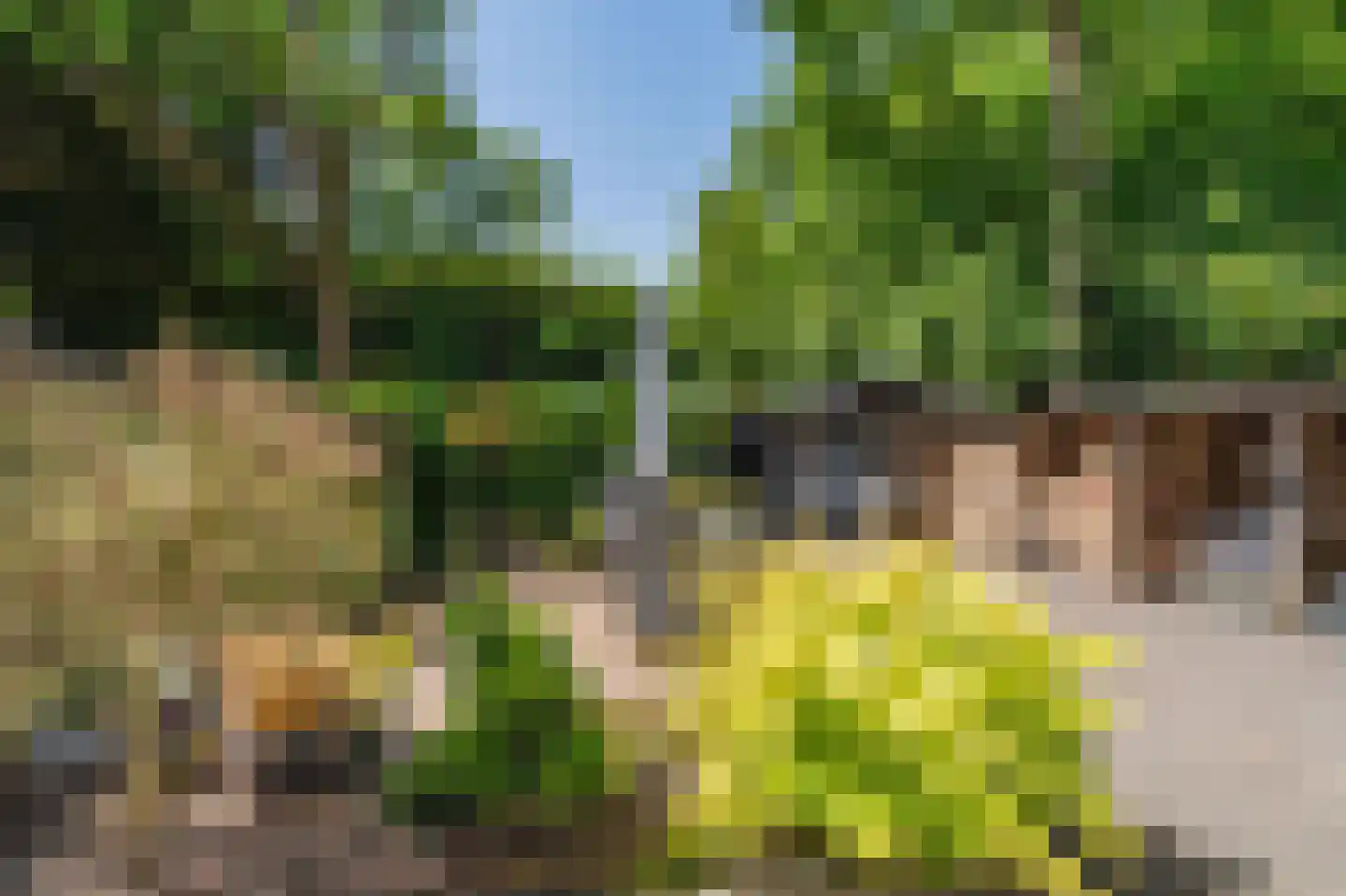 Veemstede 7 Oude Pekela thumbnail 28