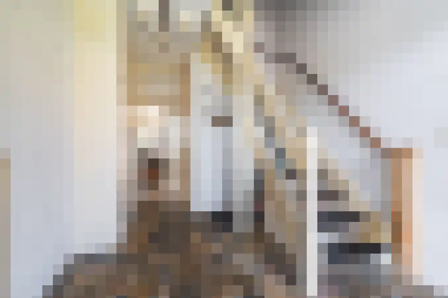 Veemstede 7 Oude Pekela thumbnail 34