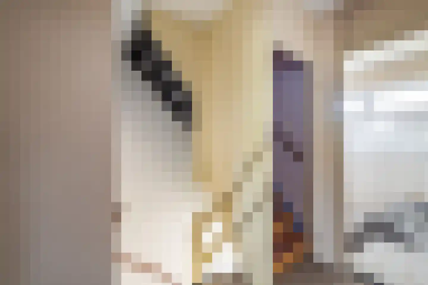 Veemstede 7 Oude Pekela thumbnail 47