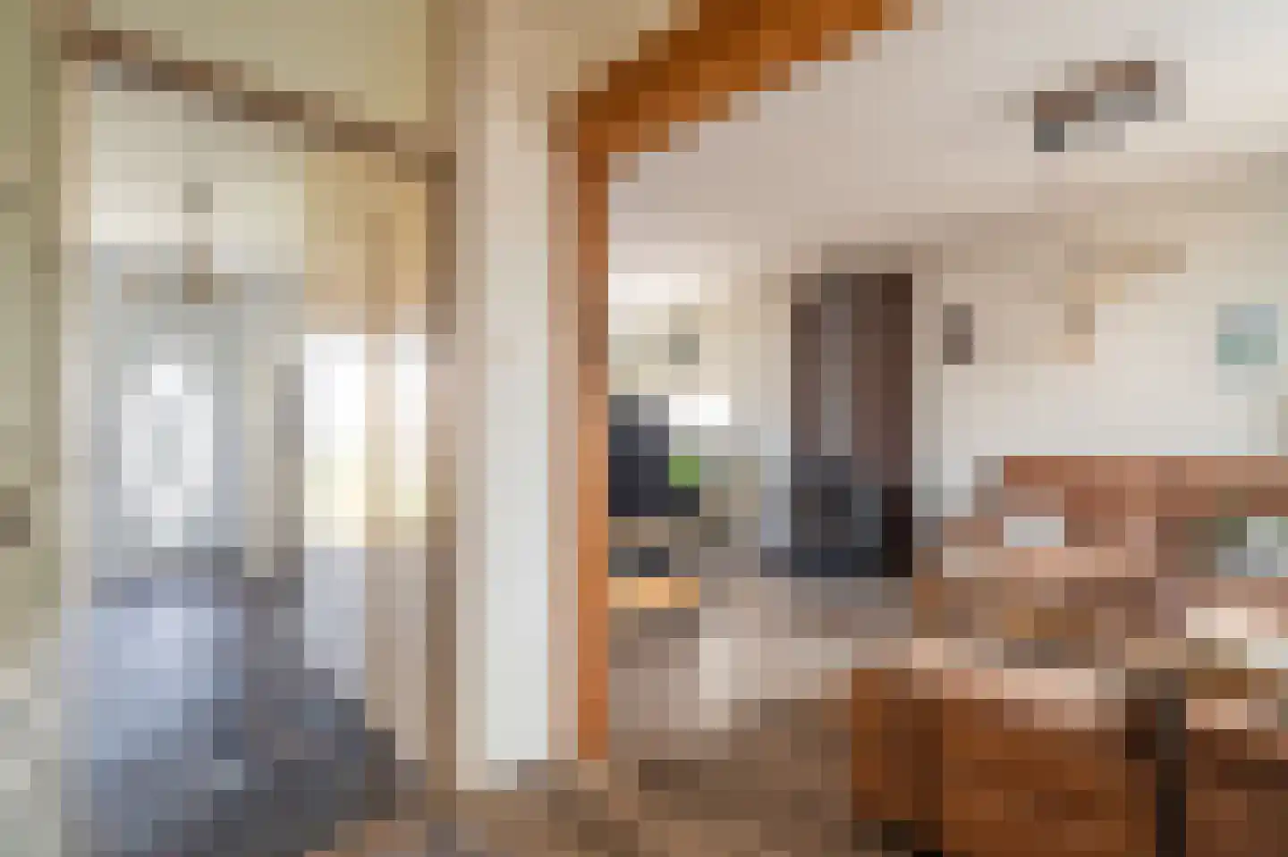 Veemstede 7 Oude Pekela thumbnail 9