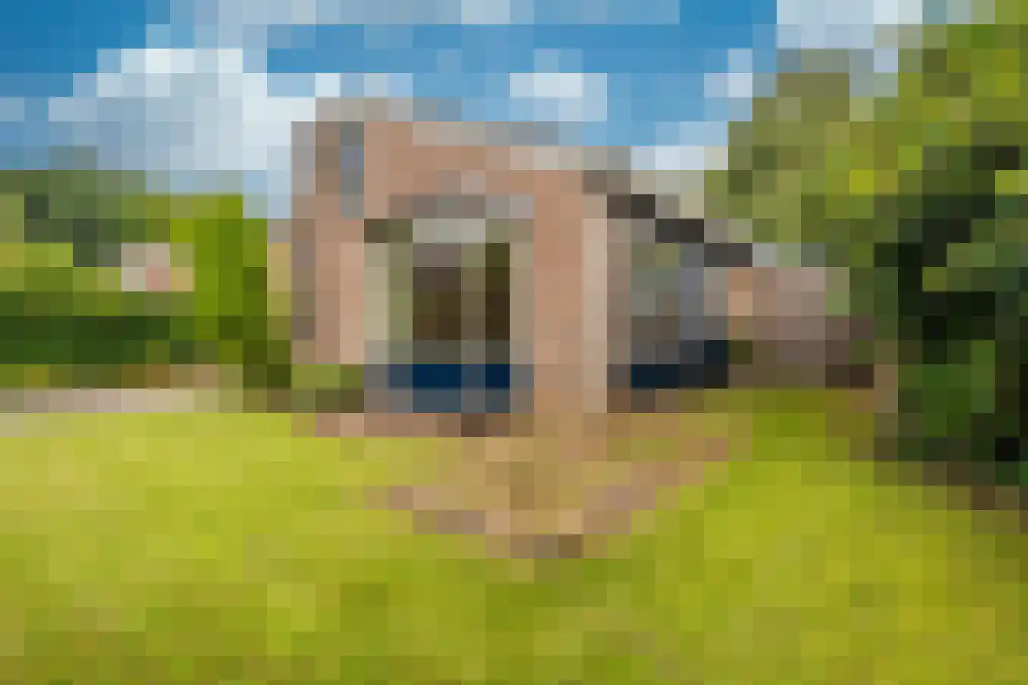 Veemstede 99 Oude Pekela thumbnail 57