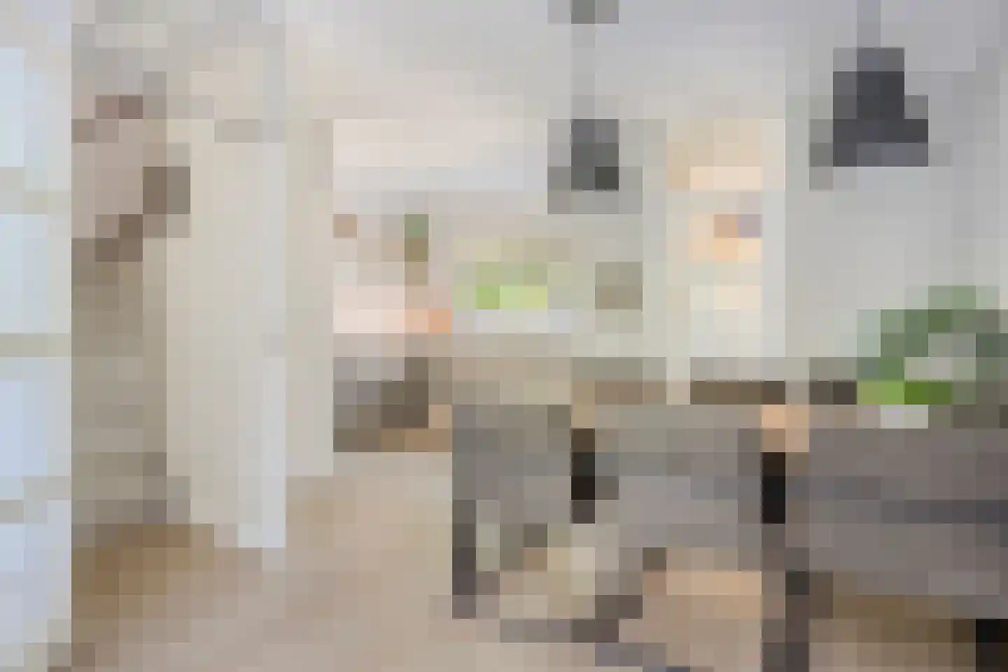 Veen 15 Brielle thumbnail 11