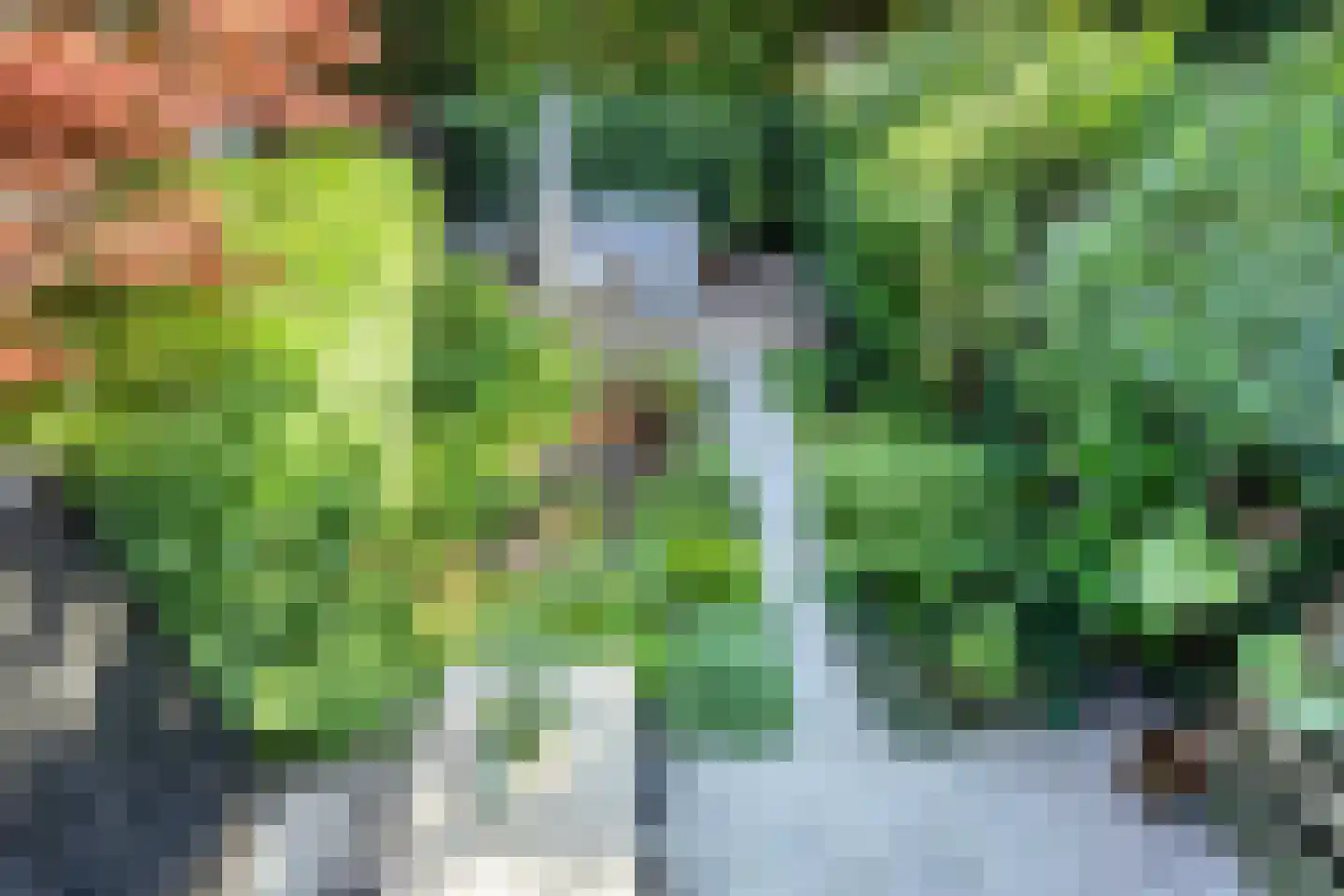 Veen 15 Brielle thumbnail 23
