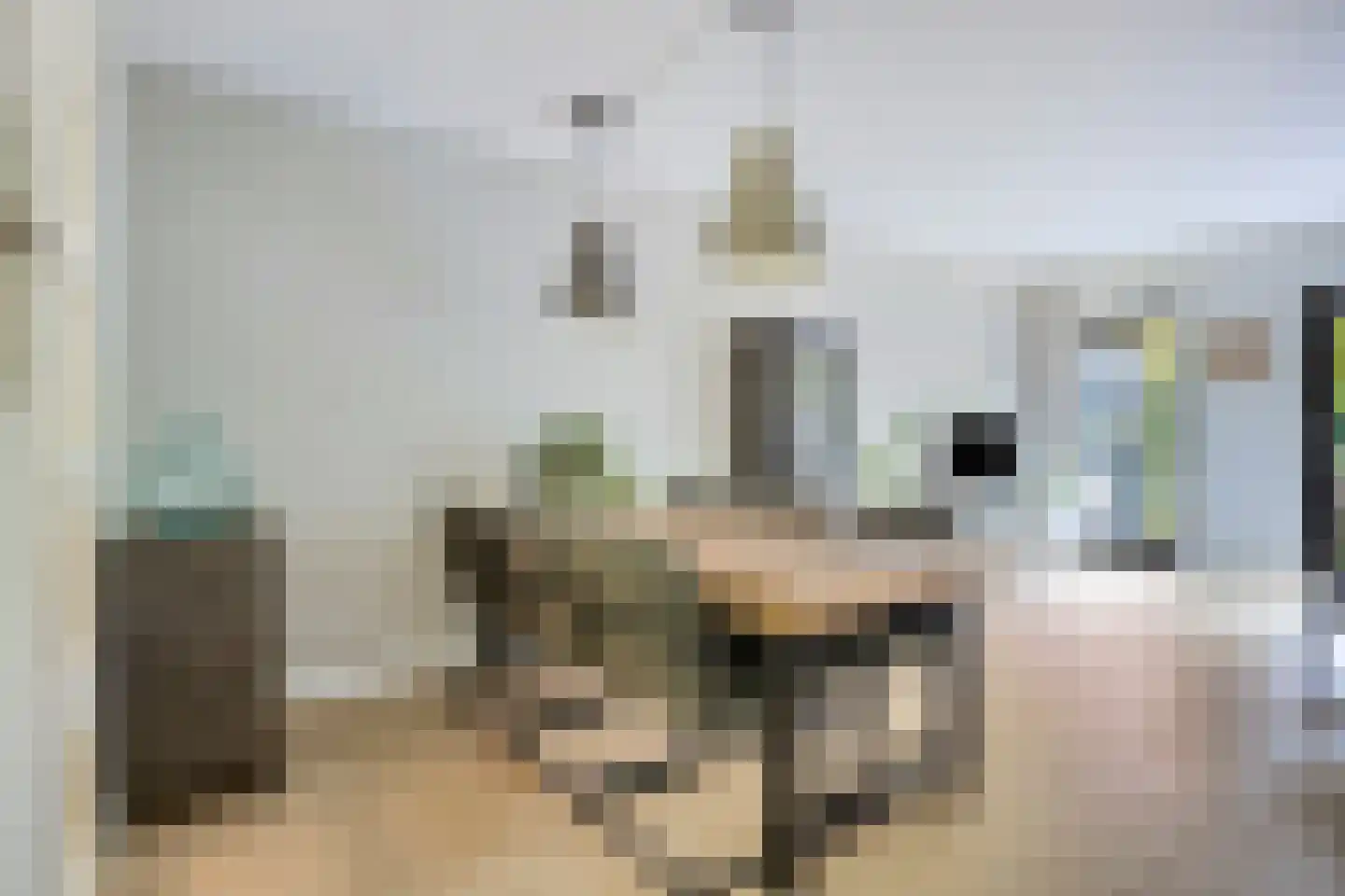 Veen 15 Brielle thumbnail 9