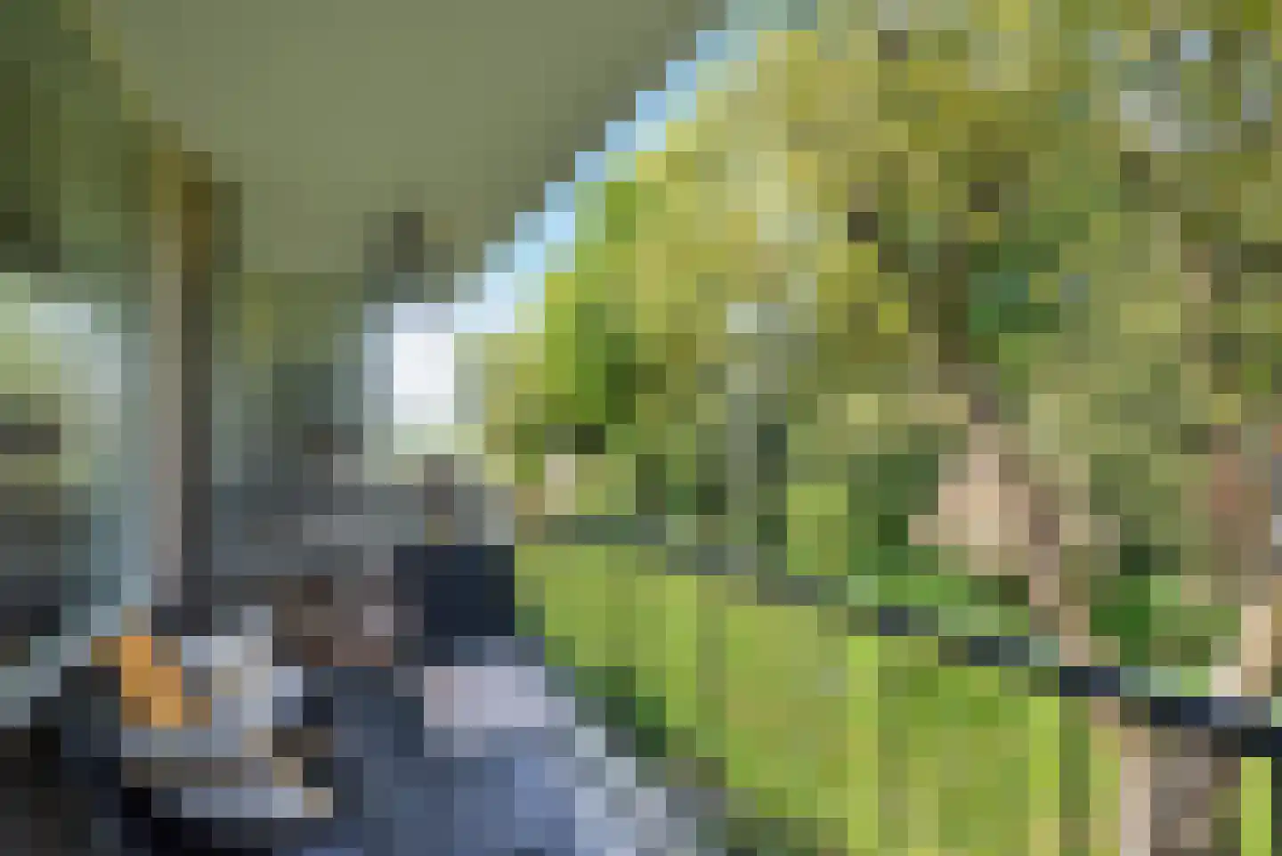 Veen en Duin 10 Bloemendaal thumbnail 13