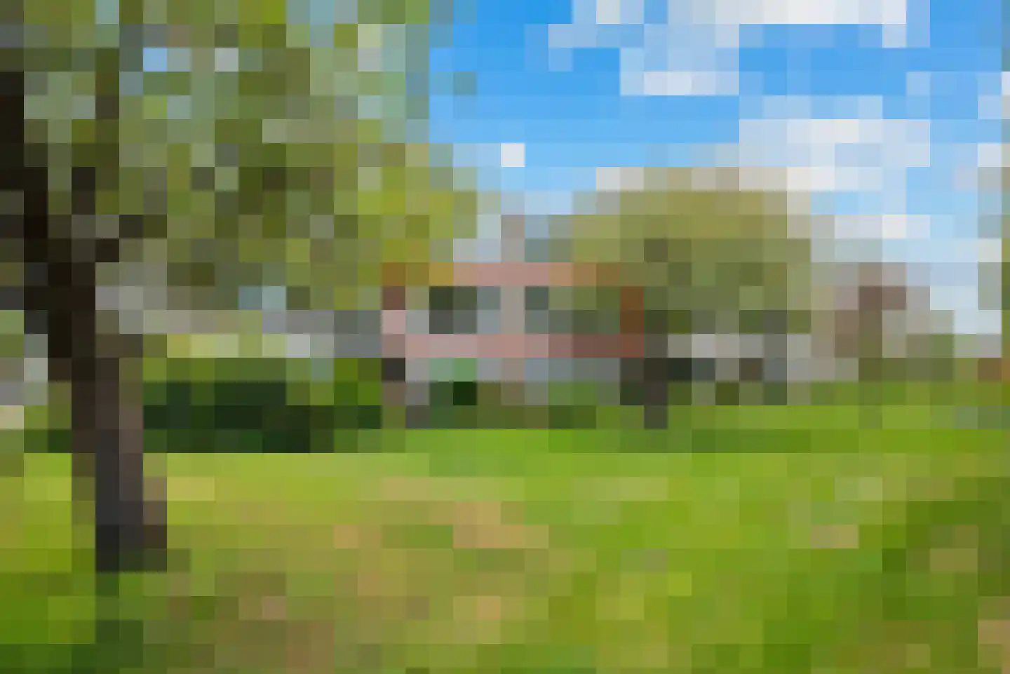 Veen en Duin 10 Bloemendaal foto 2
