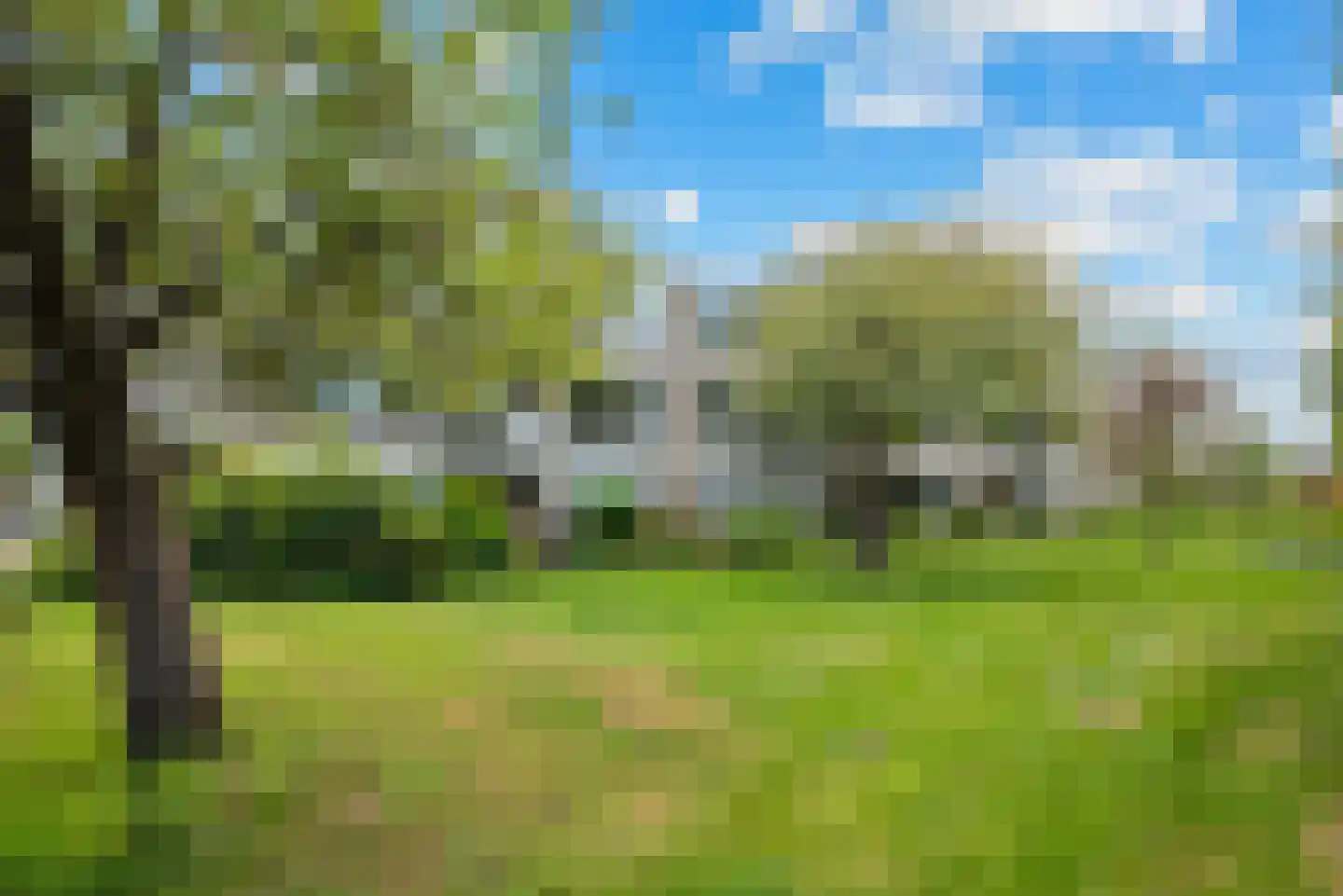 Veen en Duin 10 Bloemendaal thumbnail 22