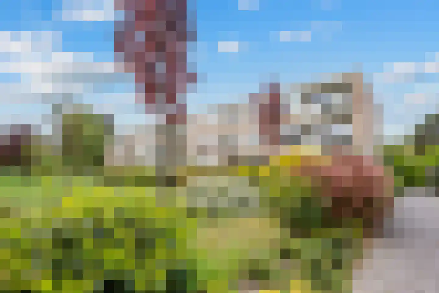 Veen en Duin 10 Bloemendaal thumbnail 23