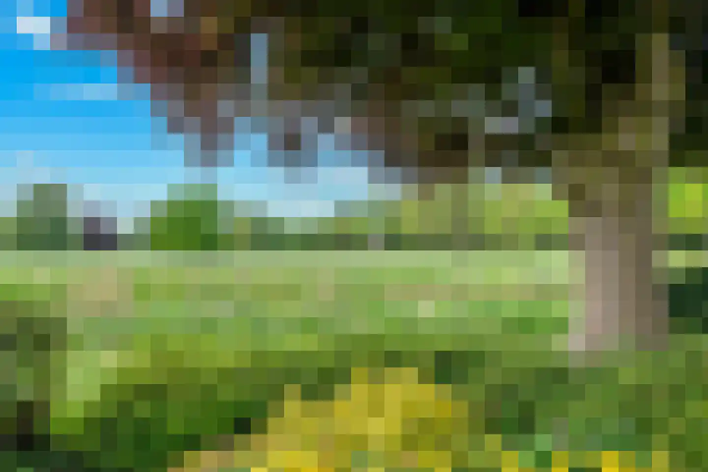 Veen en Duin 10 Bloemendaal thumbnail 24