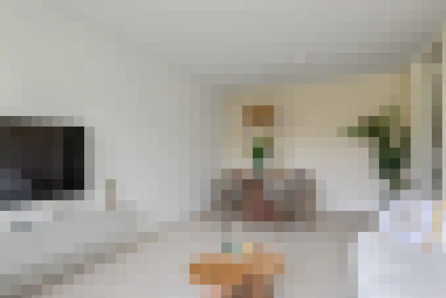 Veen en Duin 10 Bloemendaal thumbnail 6