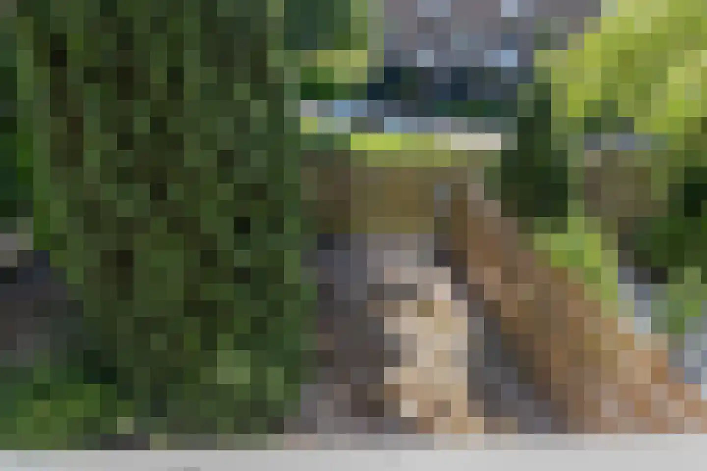 Veen en Duin 115 Bloemendaal thumbnail 14